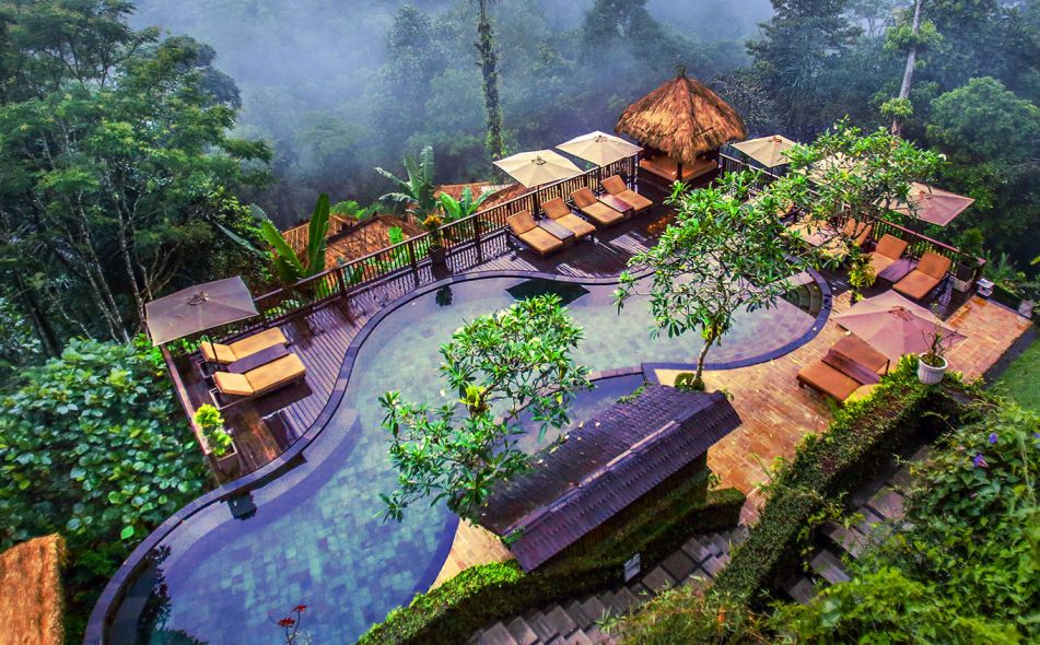 Nandini Jungle Resort & Spa Nandini Jungle Resort & Spa
