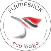 Luxury glamping experience at Flameback eco-lodge Sri-lanka