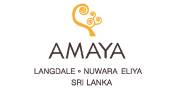 Balance Of Tranquility And Luxury At Nuwara Eliya In Sri Lanka