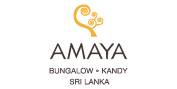 Getaway Amidst The Sri Lankan Mountains