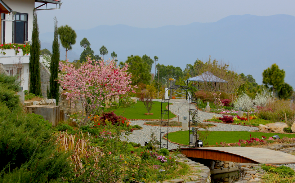 Junoon in the Hills Junoon in the Hills