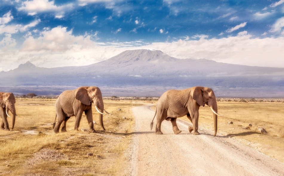 Kenya Holiday Package Kenya Holiday Package