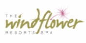 A Luxurious Jungle Retreat at Windflower Jungle Resort and Spa Bandipur